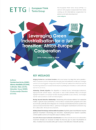 Leveraging Green Industrialisation for a Just Transition: Africa-Europe Cooperation