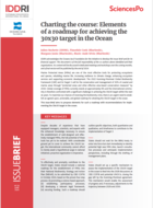 Charting the course: Elements of a roadmap for achieving the 30x30 target in the Ocean