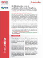 Rethinking the role of multilateral funds in the global biodiversity financial landscape