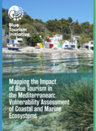 Mapping Blue Tourism: Vulnerability Assessment of Mediterranean Coastal and Marine Ecosystems