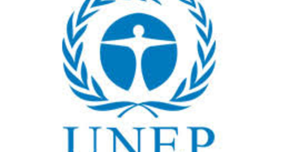 United Nation Environment Program (UNEP) | IDDRI