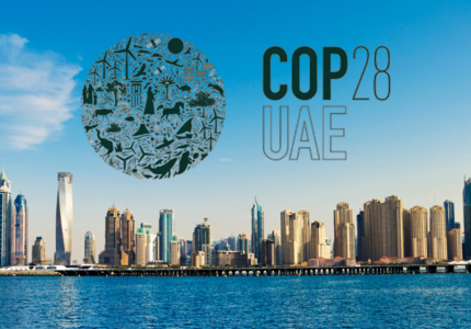 COP 28 : promesses tièdes ou progrès concrets ?