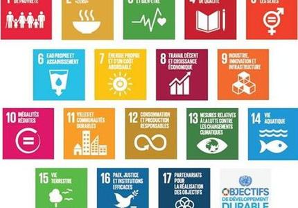 The SDGs: a shared future… and tools for action