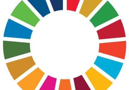 SDGs and the private sector: through the eyes of NGOs